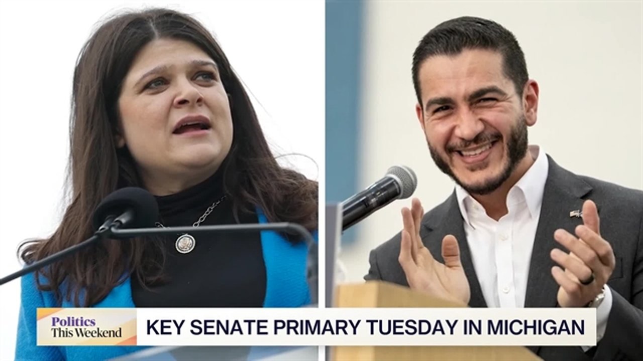 Michigan Senate Primary Divides Democrats