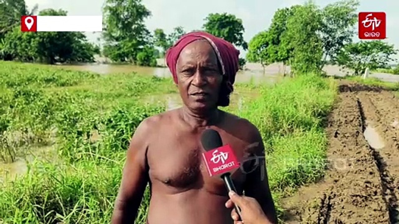 ଭାର୍ଗବୀ, କୁଶଭଦ୍ରା ନଦୀର ଜଳସ୍ତର କମିଛି; ବଢିଲା ଧନୁଆ ଅଞ୍ଚଳ ଲୋକଙ୍କ ଦୁର୍ଦ୍ଦଶା