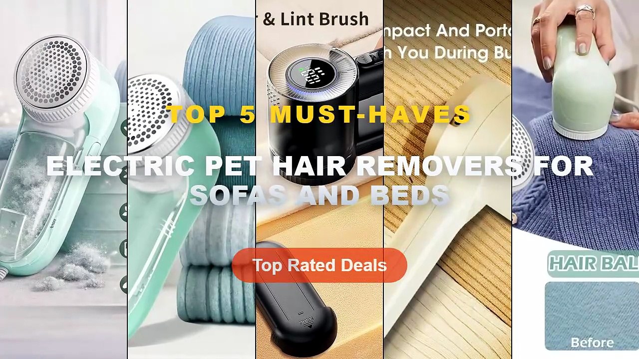 Top 5 Best Electric Pet Hair Removers For Sofas And Beds (Must Have!)