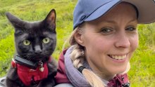 Someone Threw This Cat Away, Now She Travels The World