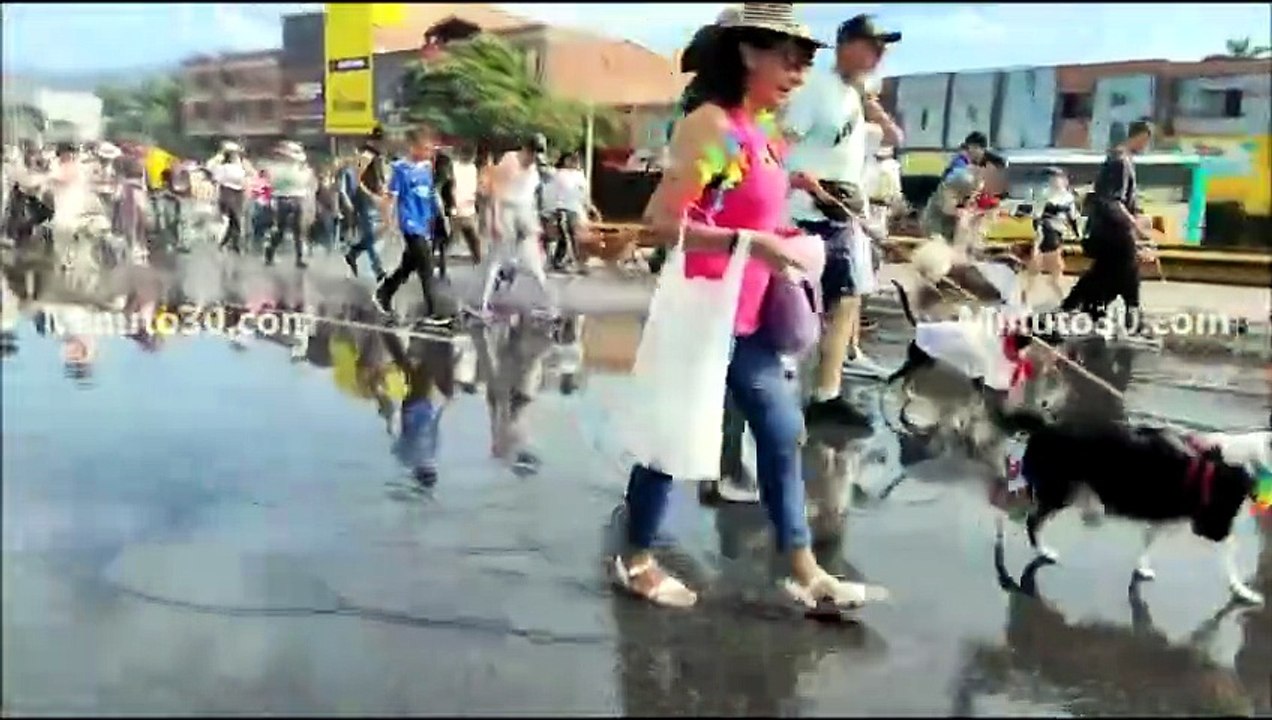 La Caminata Canina de la Feria de las Flores 2026 se transformó en un gran festival "cero ruido"