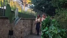 Pianta pazza lo scherzo