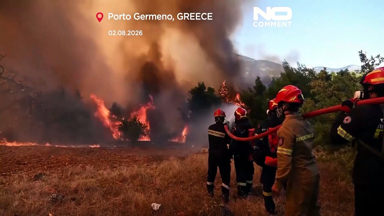 Elicotteri e vigili del fuoco combattono un incendio boschivo vicino ad Atene
