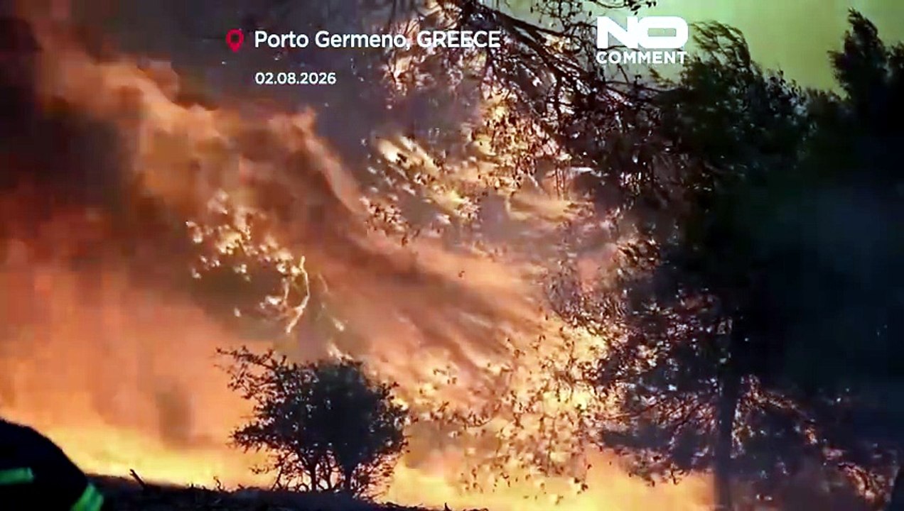 Helicópteros y bomberos combaten un rápido incendio forestal cerca de Atenas
