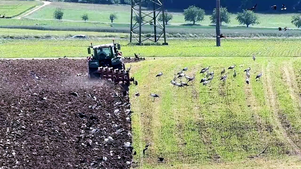 Fantastischer Kreislauf unserer Natur