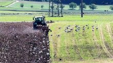 Fantastischer Kreislauf unserer Natur