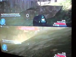 bug halo 3 en live