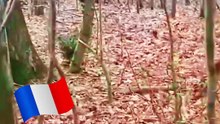 Elle emprunte un autre chemin en forêt et tombe sur une découverte inattendue