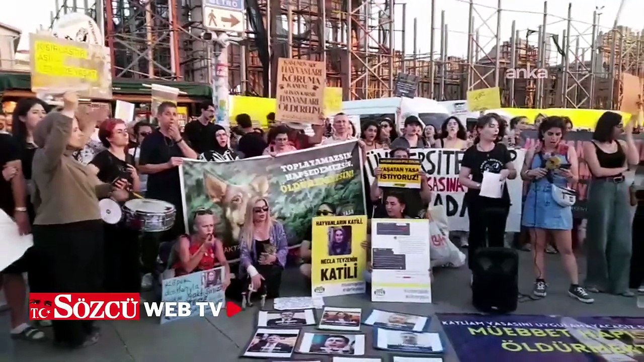 "Katliam yasası"nın ikinci yılında yaşam hakkı savunucuları Kadıköy'de eylem yaptı