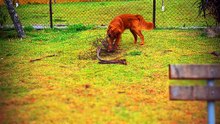 Um dia no parque com eles