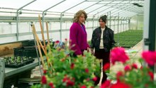 Rote Rosen 4324 folge [Full Movie]