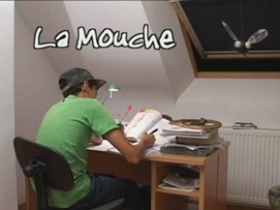 Kid Paddle vs la mouche