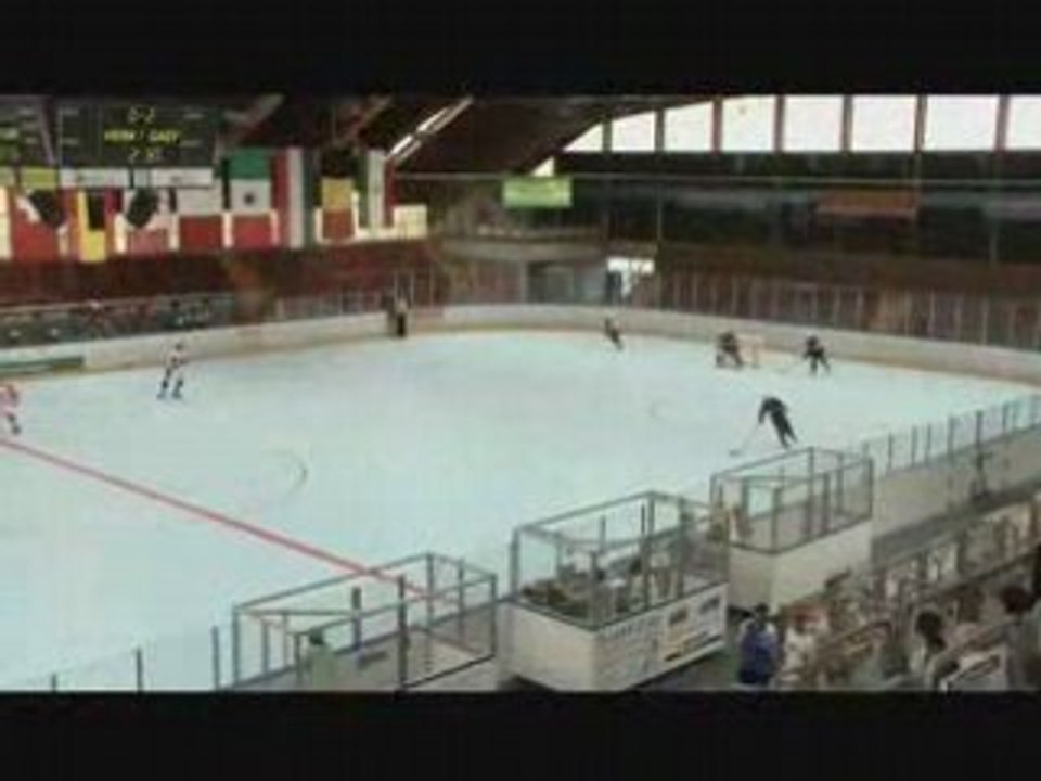 ROLLER HOCKEY - CHAMPIONNAT DU MONDE 2008 : Demi Finale France / République Tchèque