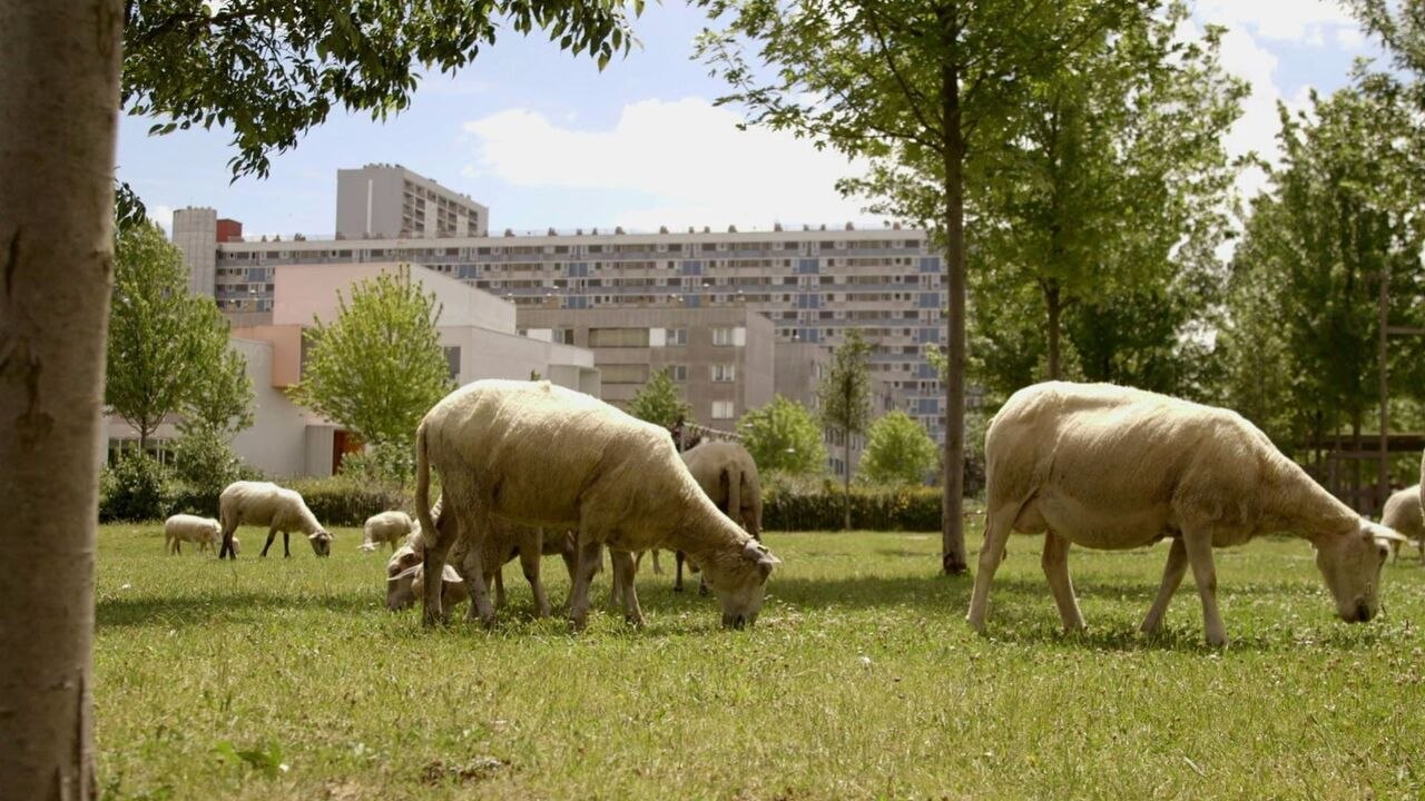Le champ des possibles