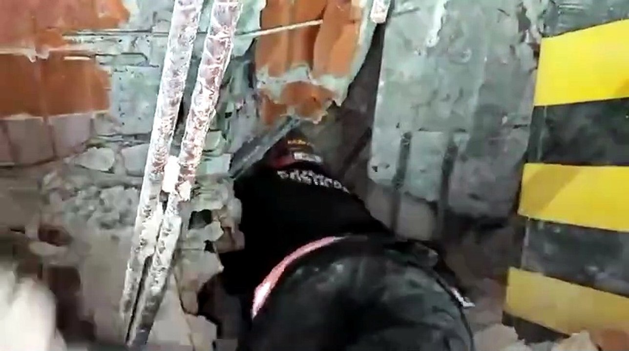ext-gato-es-rescatado-entre-escombros-en-venezuela-010726 [Full Movie]