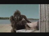 Play goryl plaża 2008 reklama