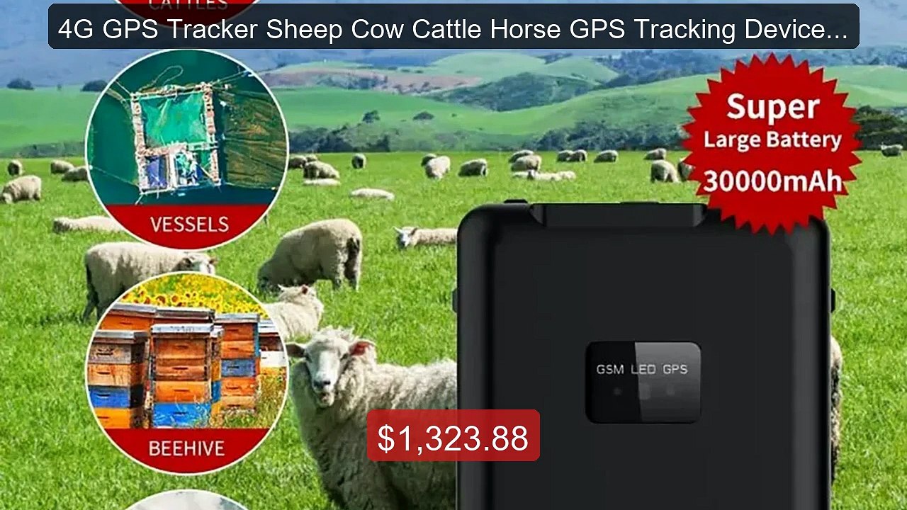 4G GPS Tracker Sheep Cow Cattle Horse GPS Track...