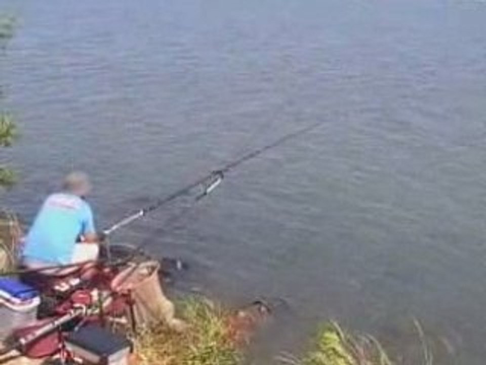 Pêche :Pôle feeder vs quiver