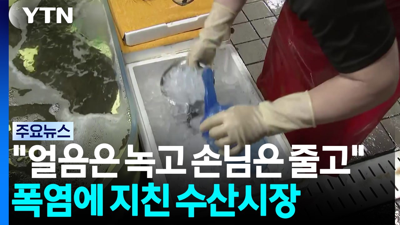 "얼음은 녹고 손님은 줄고"...폭염에 지친 수산시장 / YTN