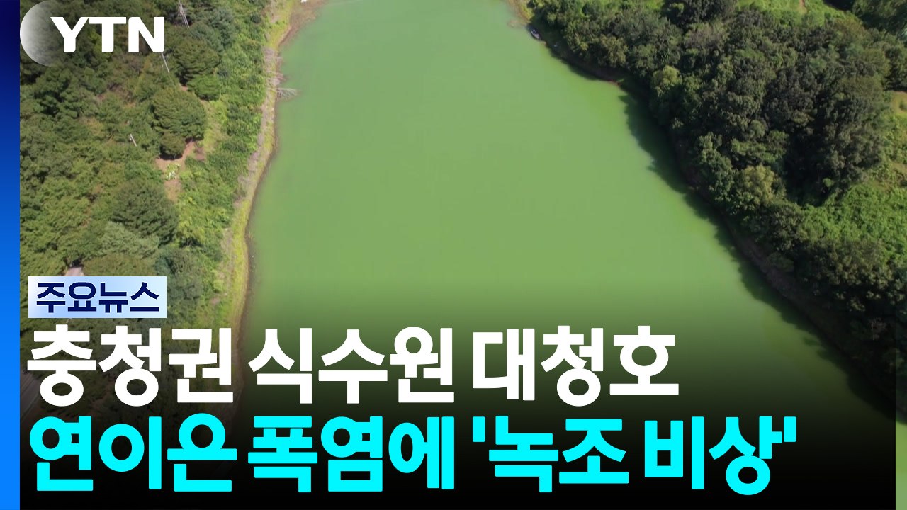 연이은 폭염에 충청권 식수원 대청호 '녹조 비상' / YTN
