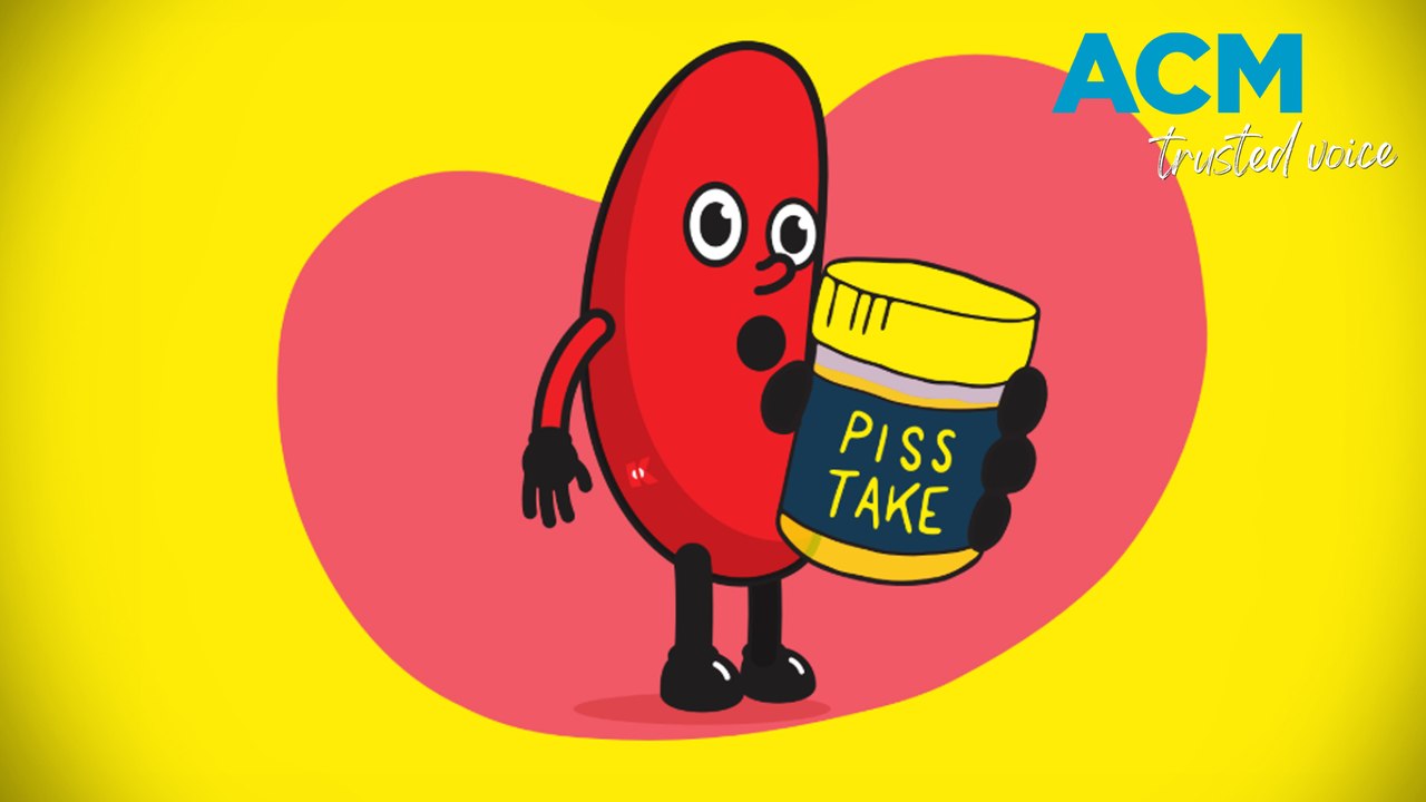 'Taking the piss': Aussie charity uses 'toilet humour' to fight silent killer