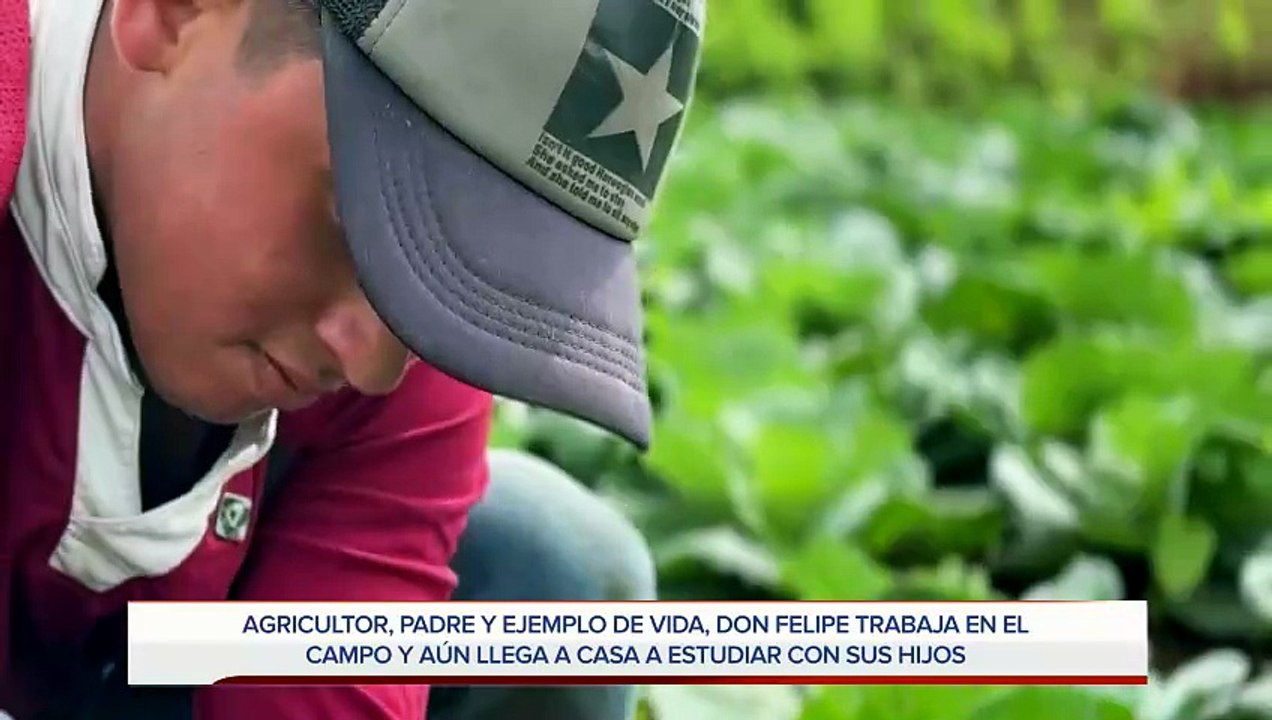 mqn-el-mejor-regalo-para-este-papa-agricultor-ver-a-sus-hijos-seguir-sus-pasos-160626 [Full Movie]