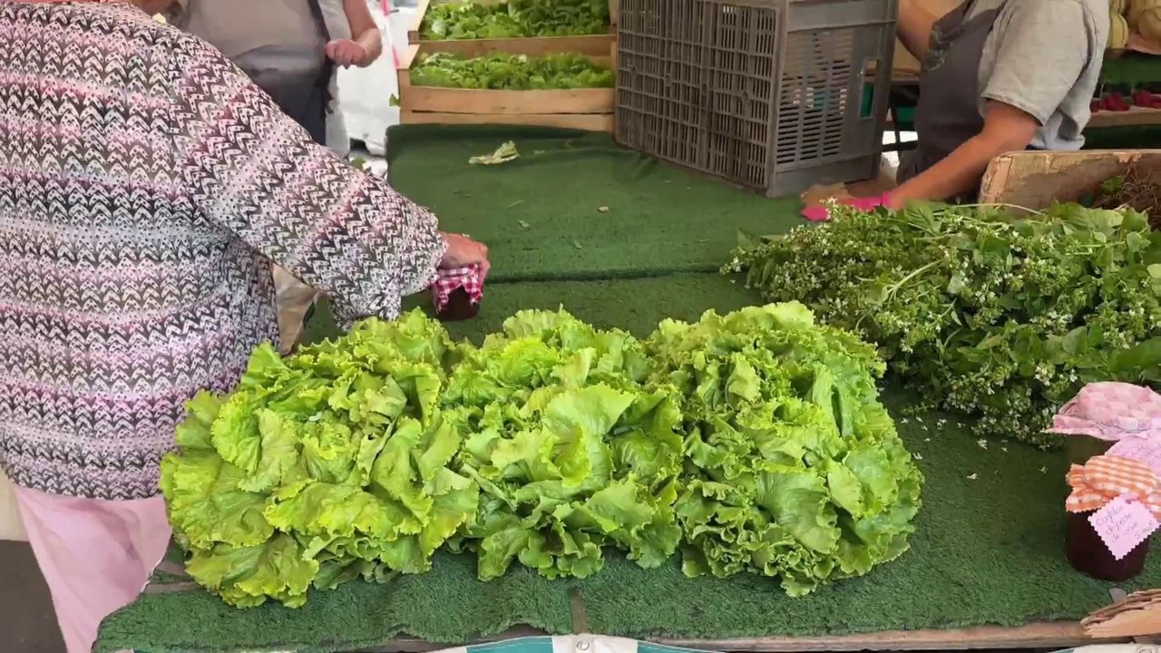 Canicule : pénurie de salades dans les rayons