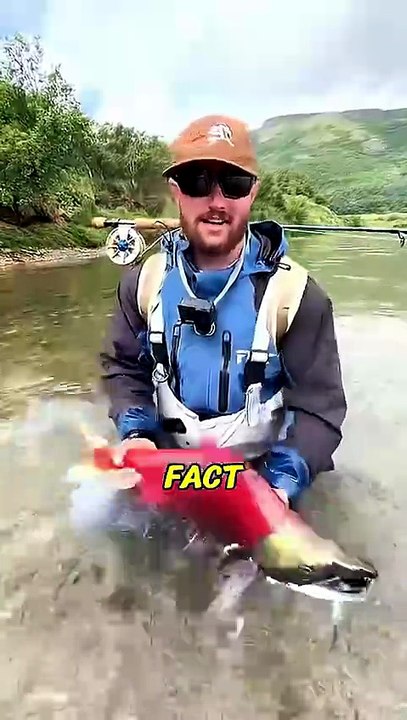 The Hidden Danger in Salmon