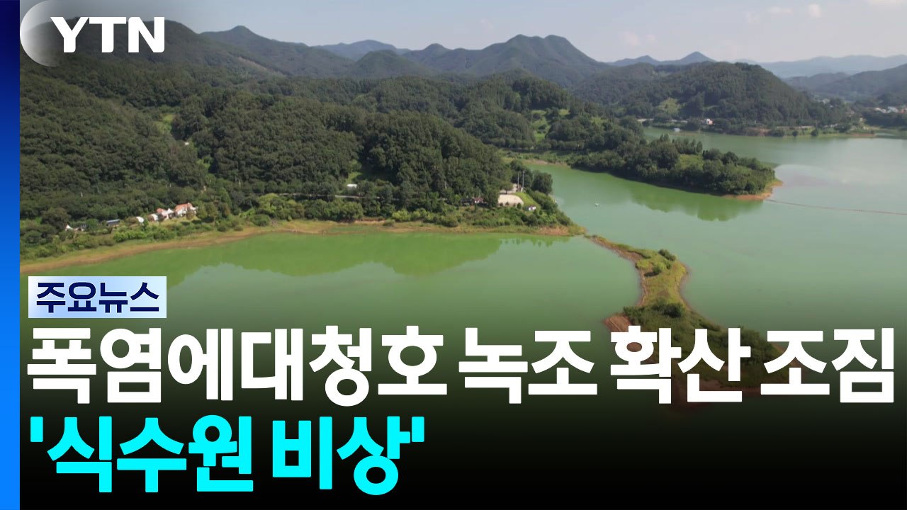 폭염에 충청 대청호 녹조 확산 조짐...'식수원 비상' / YTN