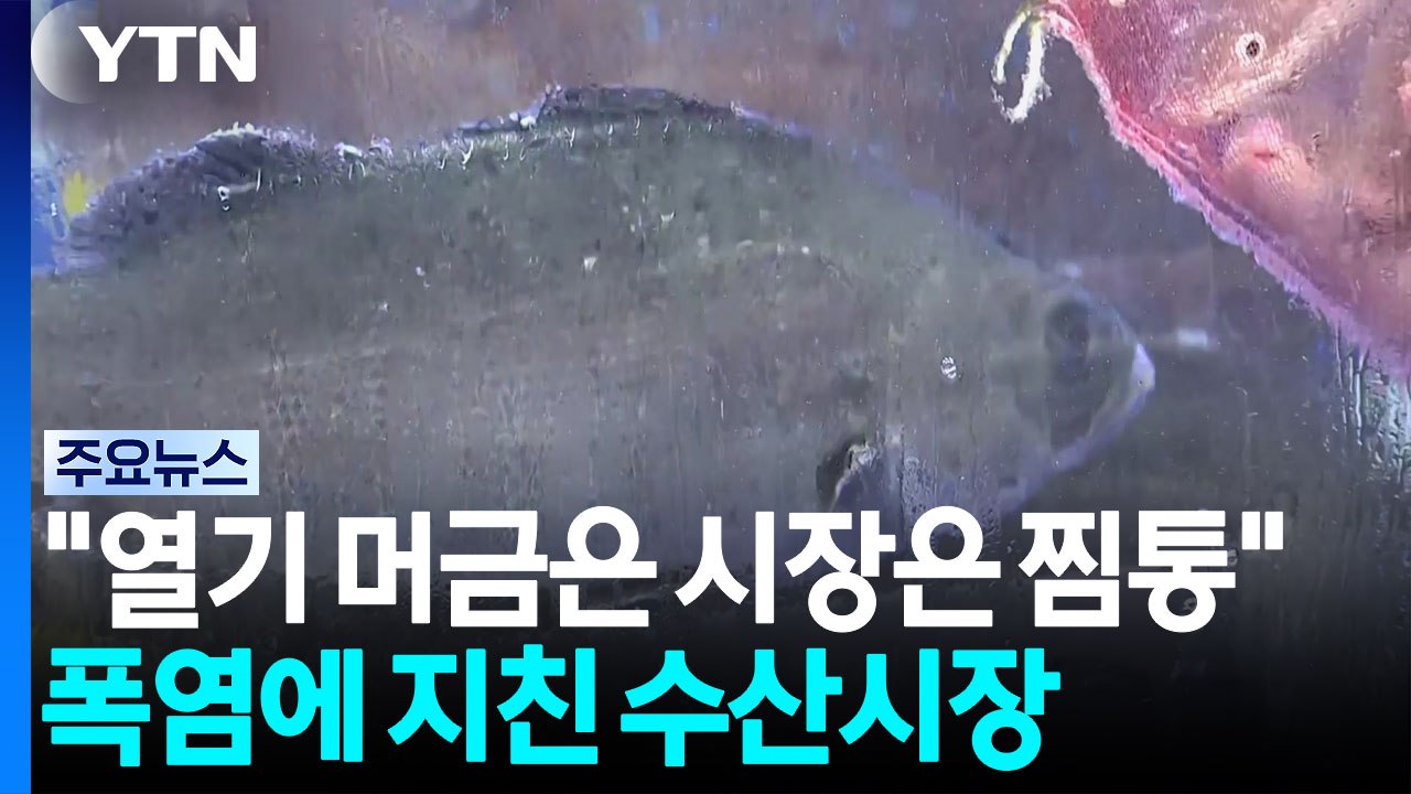 "뜨거운 열기 머금은 찜통"...폭염에 지친 수산시장 / YTN