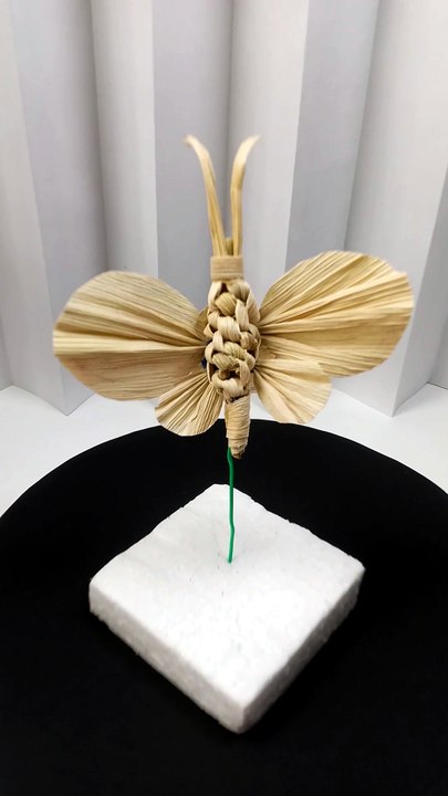 🦋 Corn husks → art