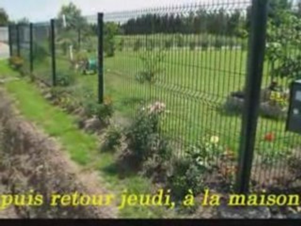 Vidéo 11 juillet 2008