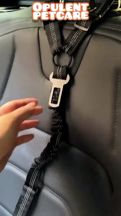 Premium Pet Car Safety Headrest Harness & Bungee Leash