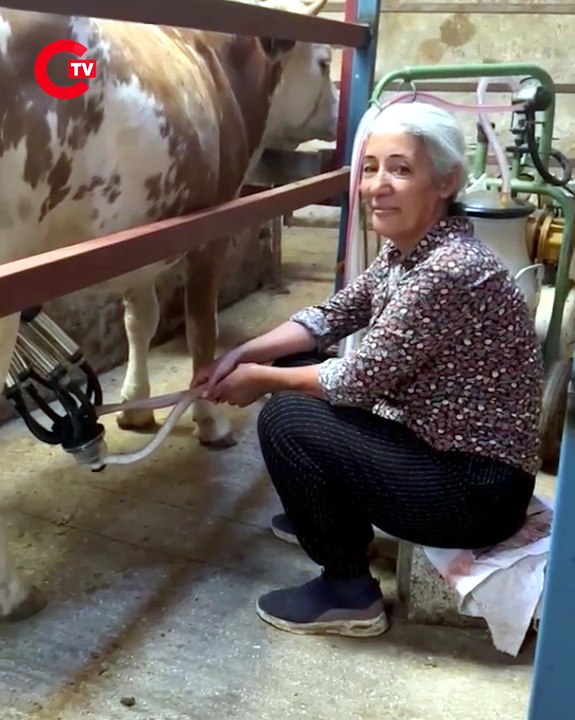 YENİ Partili Genç kadın üreticinin ahırından seslendi “Tarıma ve hayvancılığa hor bakan, geleceği zor görür”