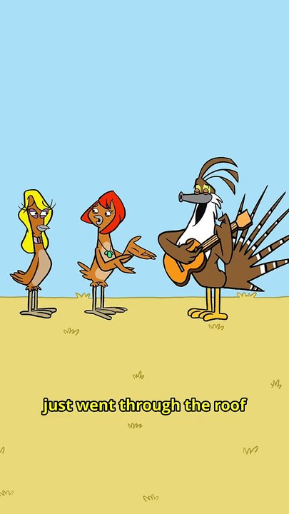 BIRD-MATE