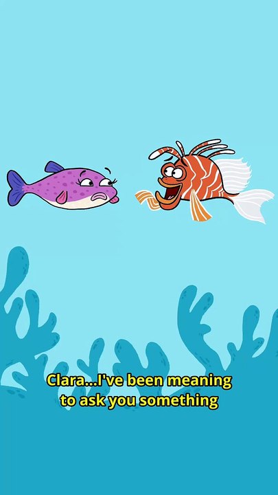 POPER-FISH
