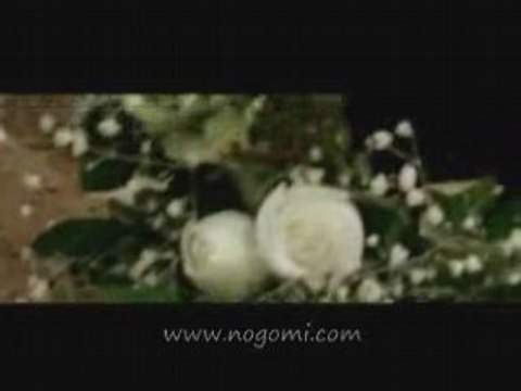 cheb Abbes ( Rahet âliya el Partie ) rai algerien