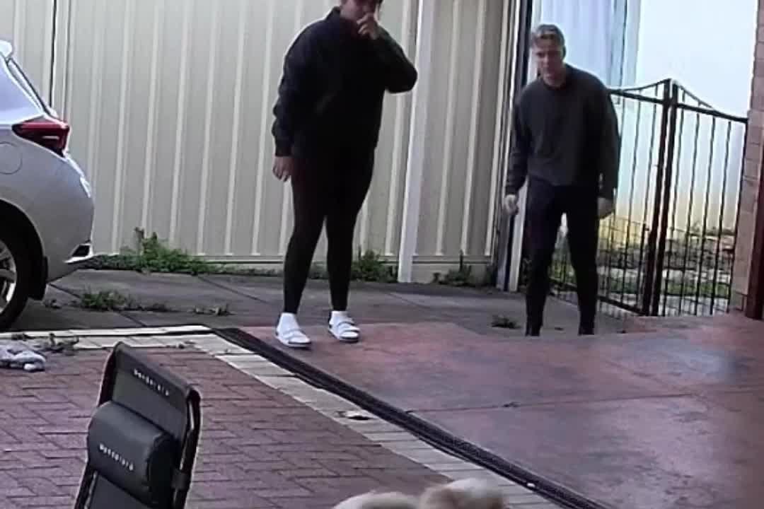 Dog Hops on Hind Limbs After Seeing Owner Return