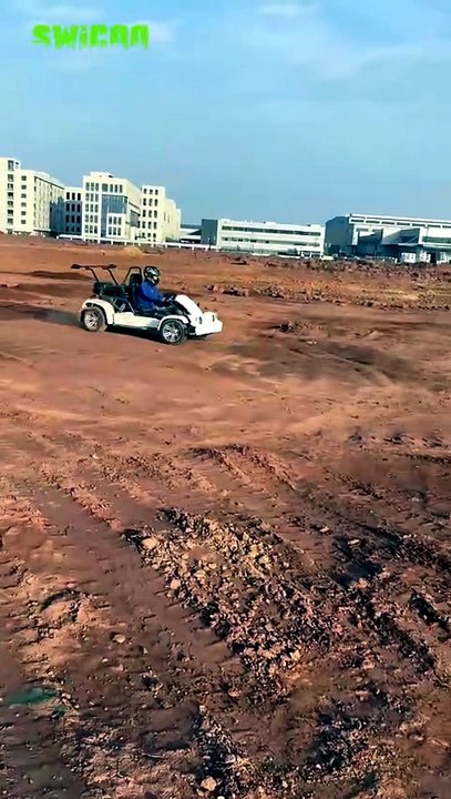 SWICOO Design Gas Go Kart 125cc 170cc 175cc 200cc