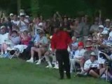 Tiger Woods and some of his great golf shots