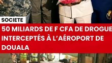 Cocaïne interceptée à l'aéroport de Douala
