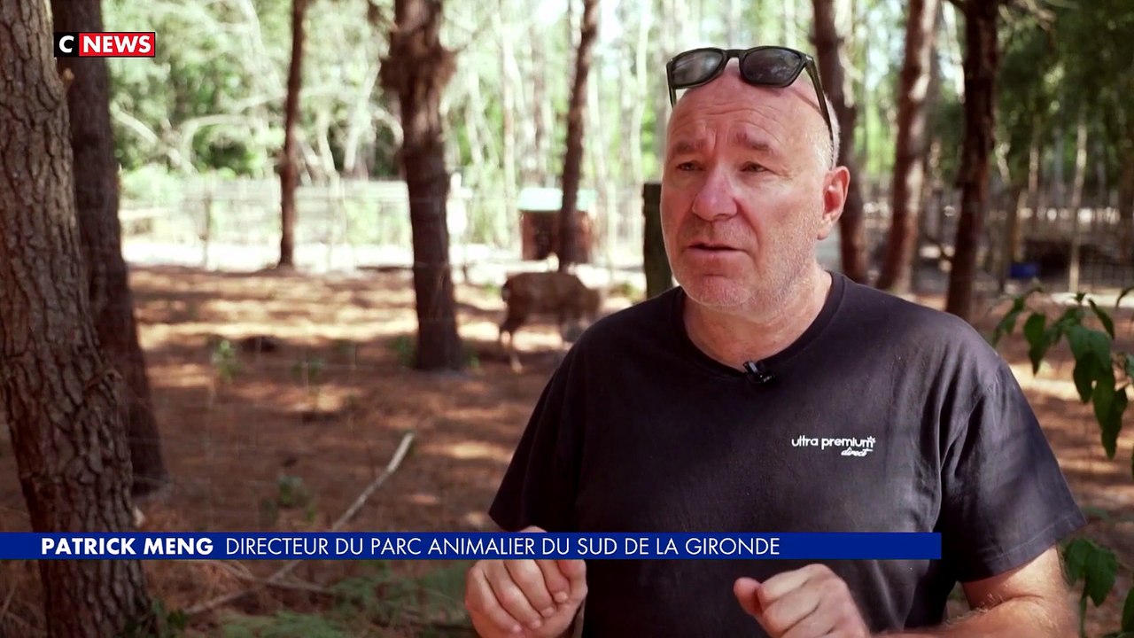 Gironde : un refuge pour les animaux rescapés