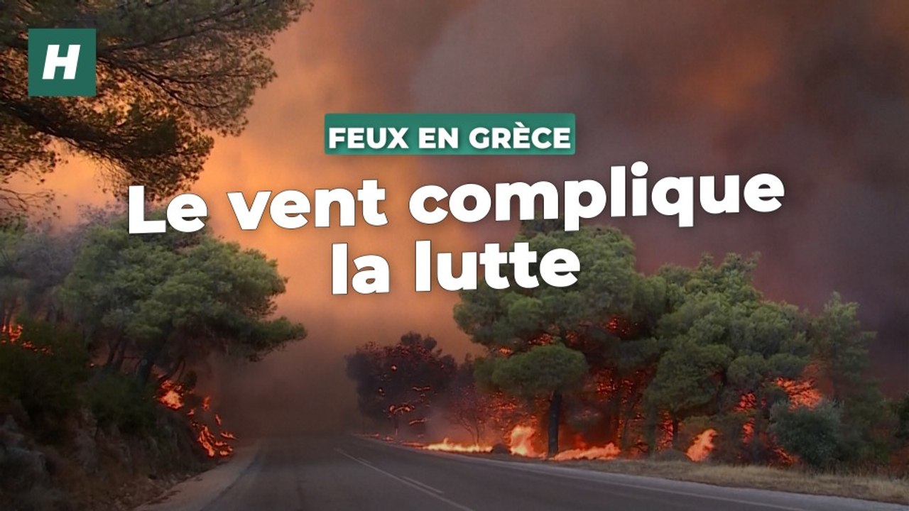 En Grèce, des vents violents viennent compliquer la lutte contre les incendies