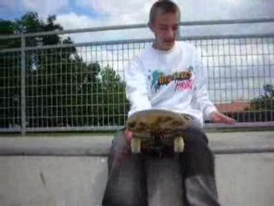 jeff drop la mini sur le cul
