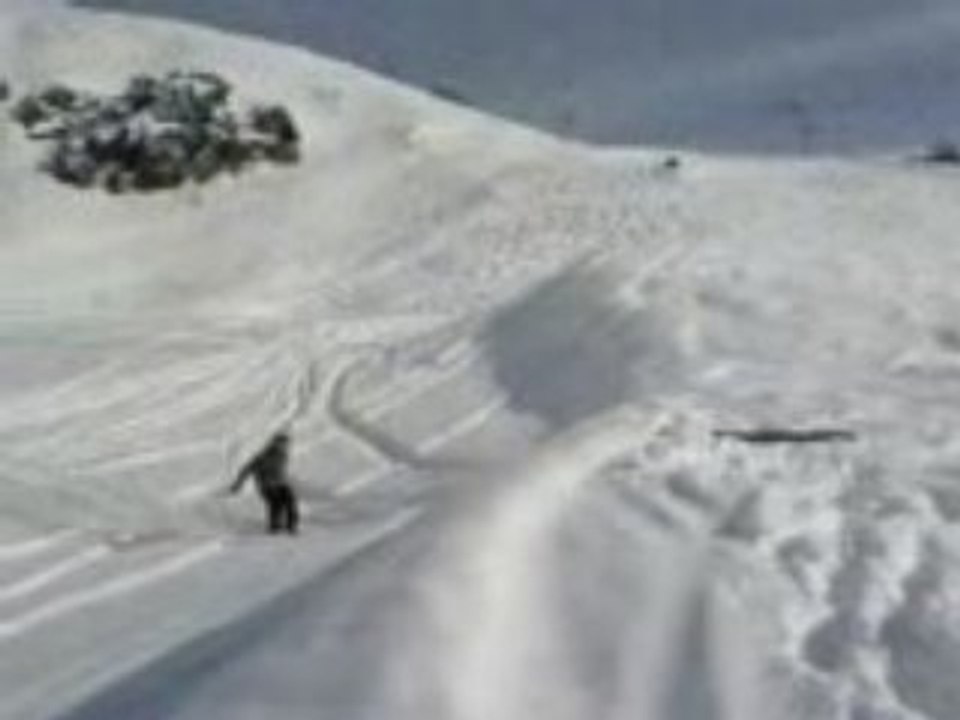 backflip ski
