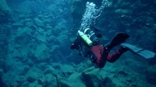 Meet the New Species Found in the Mariana Trench