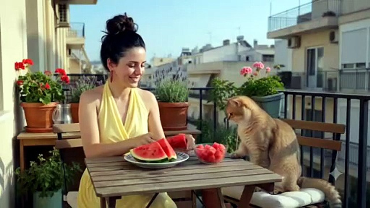Eating Fresh Watermelon on the Balcony with My Cute Cat 🍉 | Summer Vibes