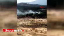 Bursa'da orman yangını
