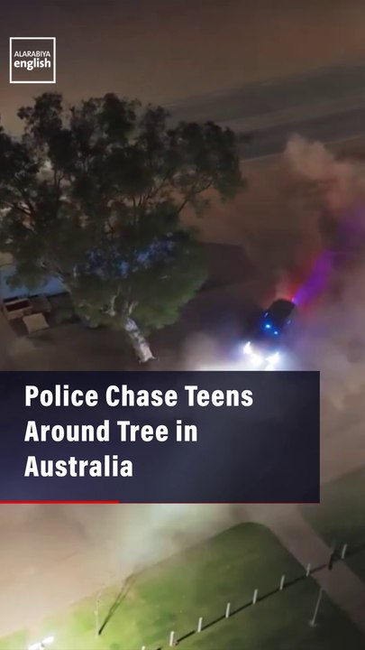 Police Chase  Teens Around  Tree in Australia
