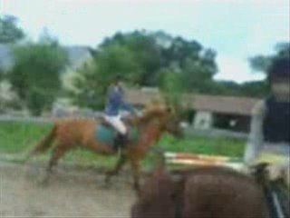 Stage cso le 11 juillet avec Chiccos